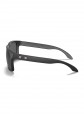 Oakley Holbrook Matte Black W/ Prizm Daily Polarized Sunglasses