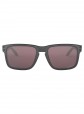 Oakley Holbrook Steel W/Prizm Daily Polarized Sunglasses