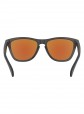 Oakley Frogskins Matte Black w/ Prizm Violet Sunglasses