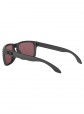 Oakley Holbrook Steel W/Prizm Daily Polarized Sunglasses