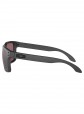 Oakley Holbrook Steel W/Prizm Daily Polarized Sunglasses
