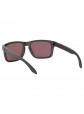 Oakley Holbrook Steel W/Prizm Daily Polarized Sunglasses