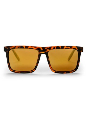Chpo Bruce Turtle Brown / Gold Sunglasses