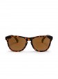 Óculos de Sol Chpo Bodhi Turtle Brown