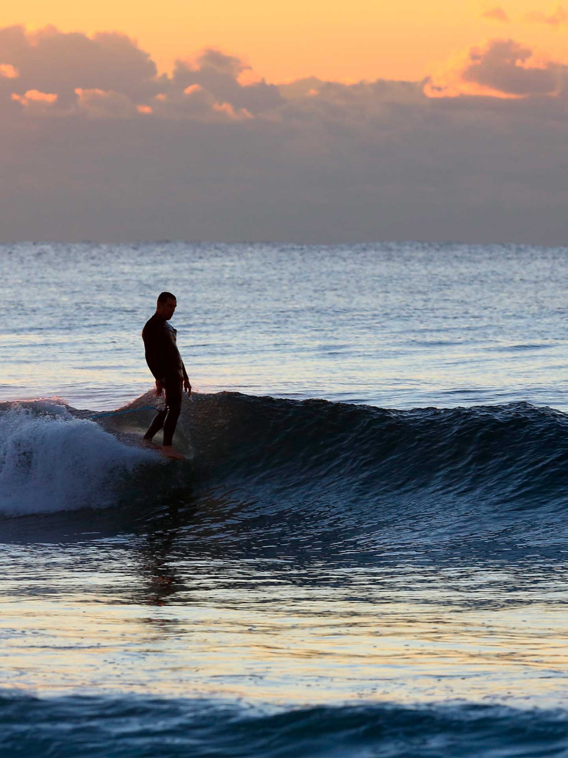 Leash Ocean & Earth Longboard 9'0 One-XT