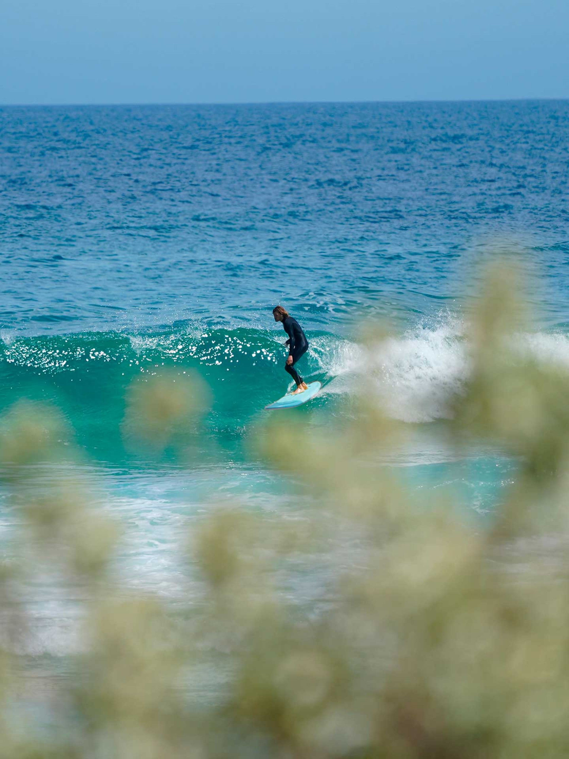 Leash Ocean & Earth Longboard Regular Knee 9'0