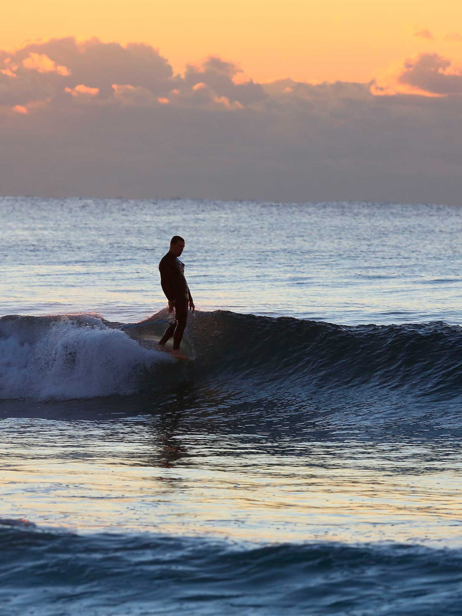 Leash Ocean & Earth Longboard Regular 9'0
