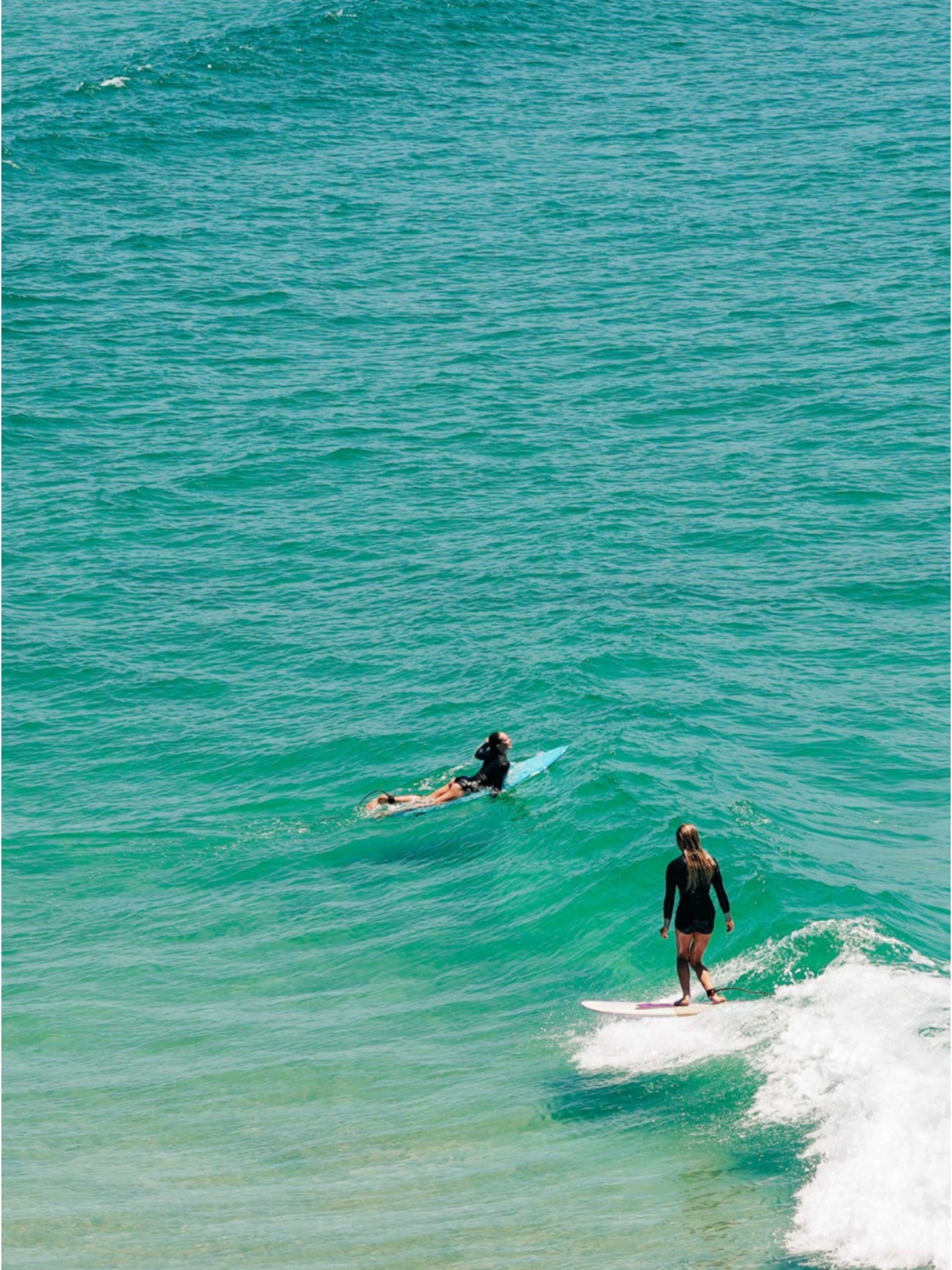 Softboard Ocean & Earth Happy Hour Epoxy 8'0"