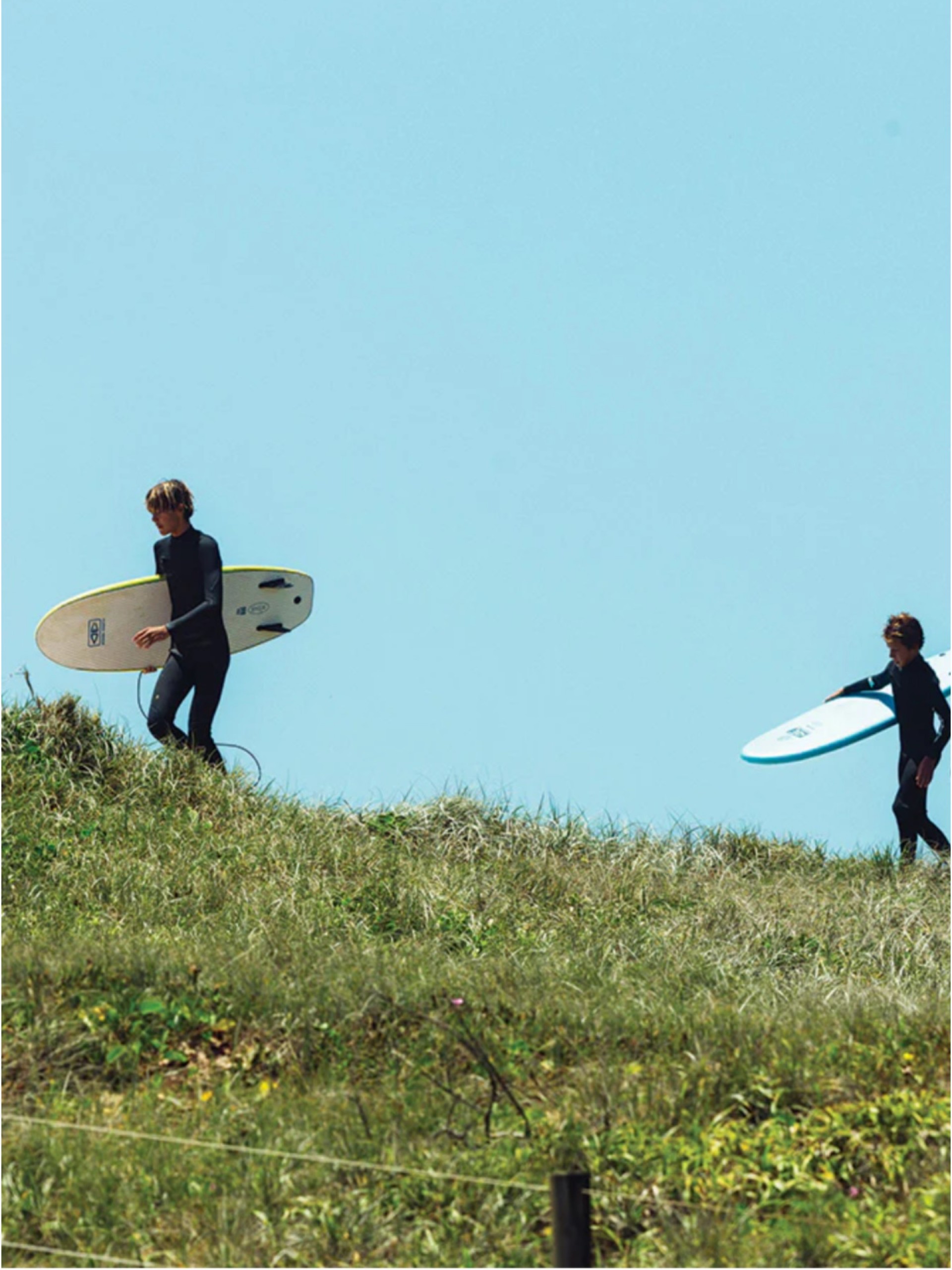 Softboard Ocean & Earth The Bug 6'0"