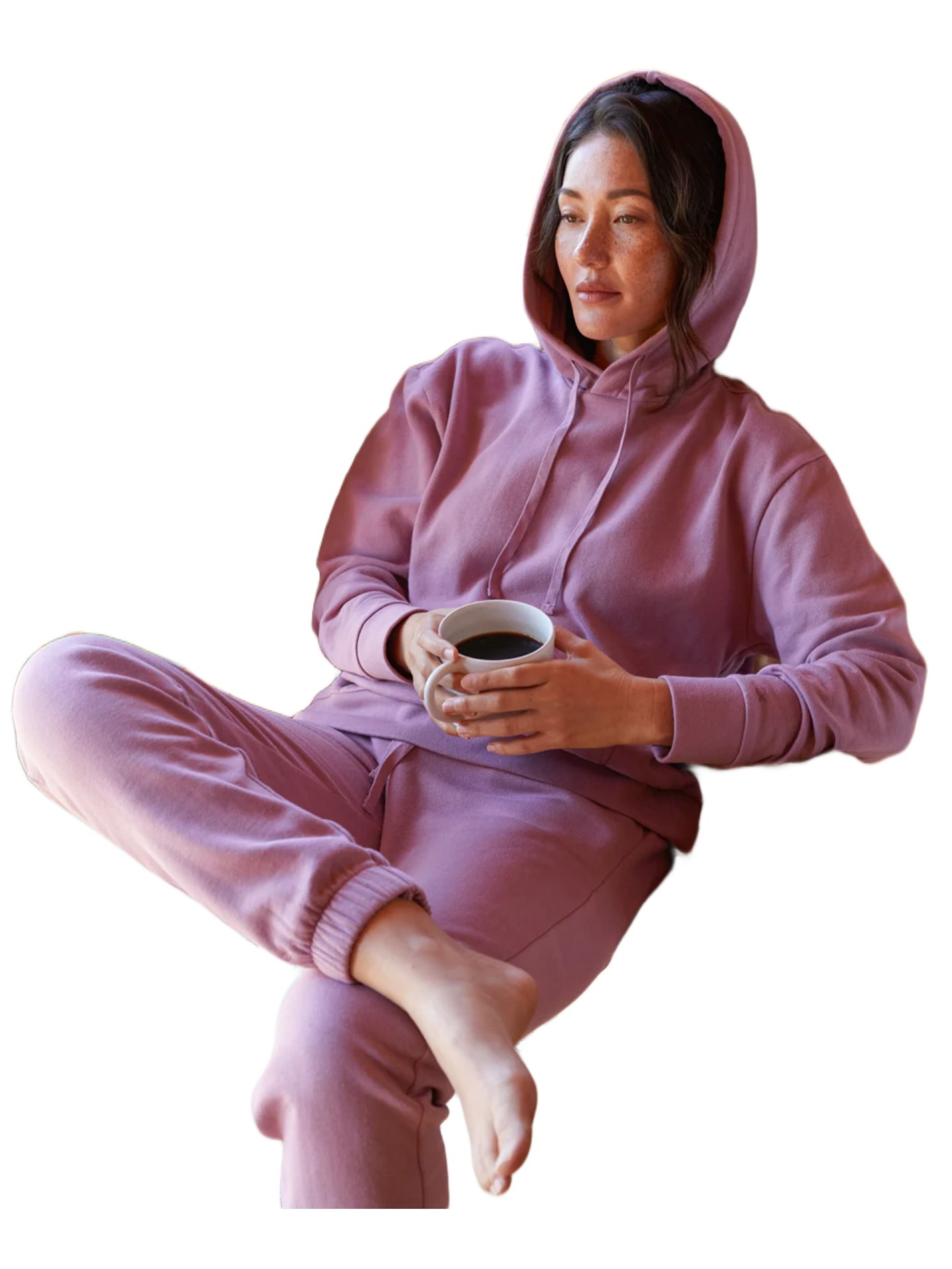 Outerknown Astor Hooded Sweatshirt