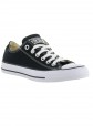 Converse All Star Sneakers