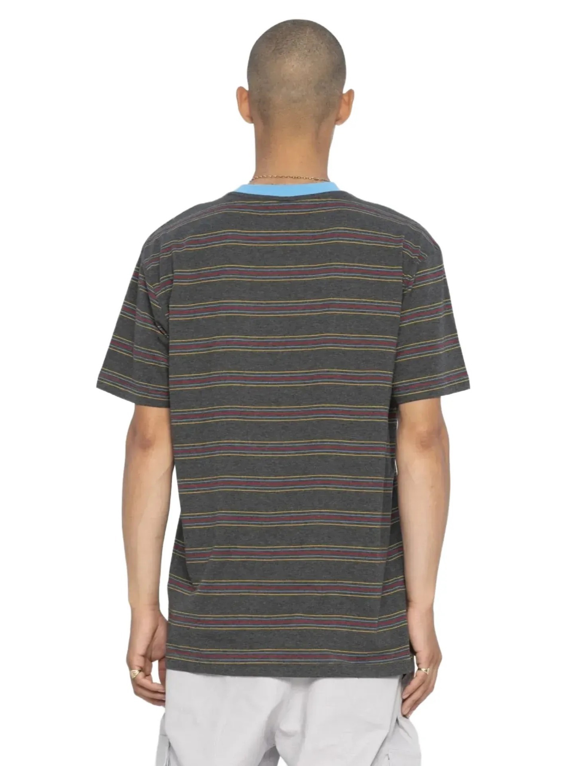 Santa Cruz Classic Strip Stripe S/S Tee