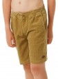 Rip Curl Surf Cord Walkshorts