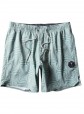 Vissla Congos 16.5" Ecolastic Boardshorts