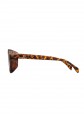 Chpo Rickard Turtle Brown / Brown Sunglasses