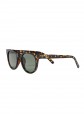 culos de Sol Chpo Tor X Turtle Brown / Green