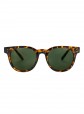 culos de Sol Chpo Tor X Turtle Brown / Green