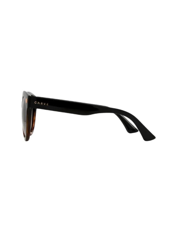 Óculos de Sol Carve Harpo Gloss Black Tortoise w/ Brown Gradient Polarized Óculos de Sol Carve Harpo Gloss Black Tortoise w/ Brown Gradient Polarized