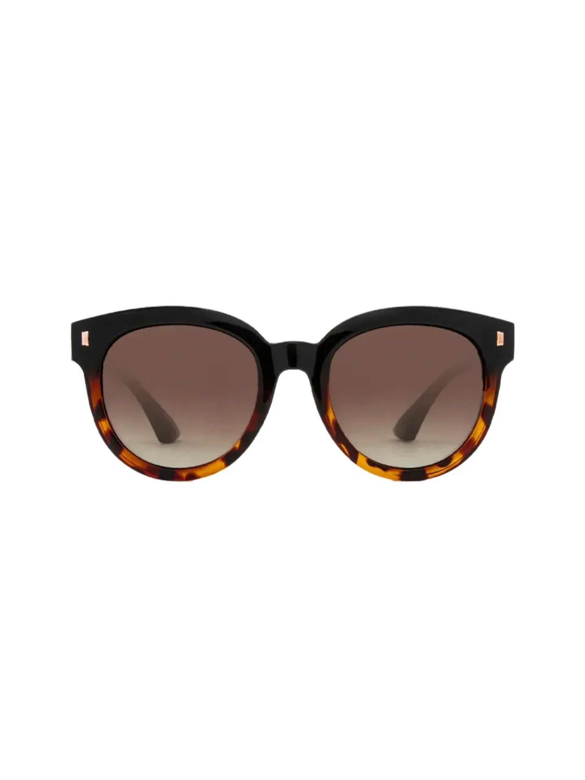 Carve Harpo Gloss Black Tortoise w/ Brown Gradient Polarized Sunglasses