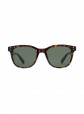 culos de Sol Carve Homeland Tortoise w/ Green Polarized