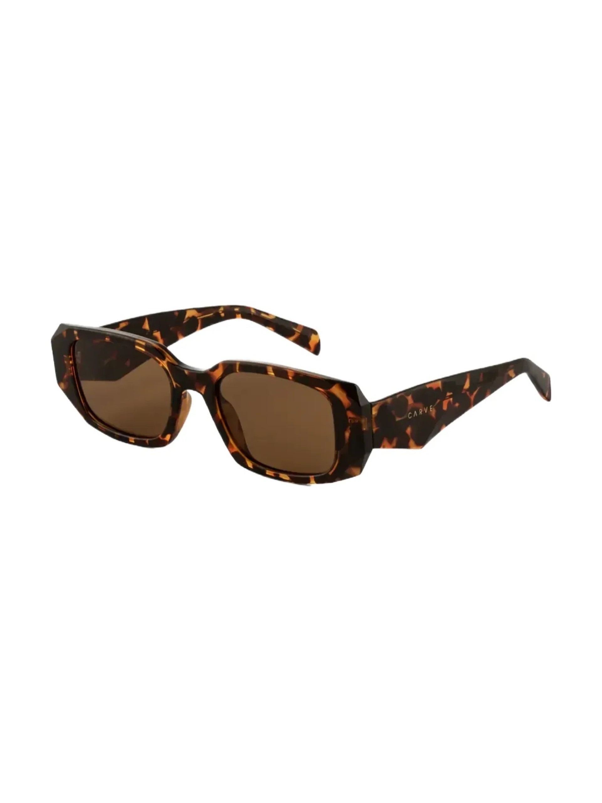 Óculos de Sol Carve Milan Gloss Tortoise w/ Brown