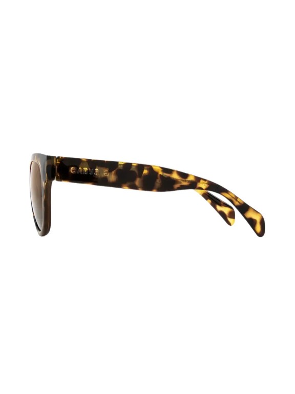 Óculos de Sol Carve Vivian Gloss Tortoise w/ Brown Injected Óculos de Sol Carve Vivian Gloss Tortoise w/ Brown Injected