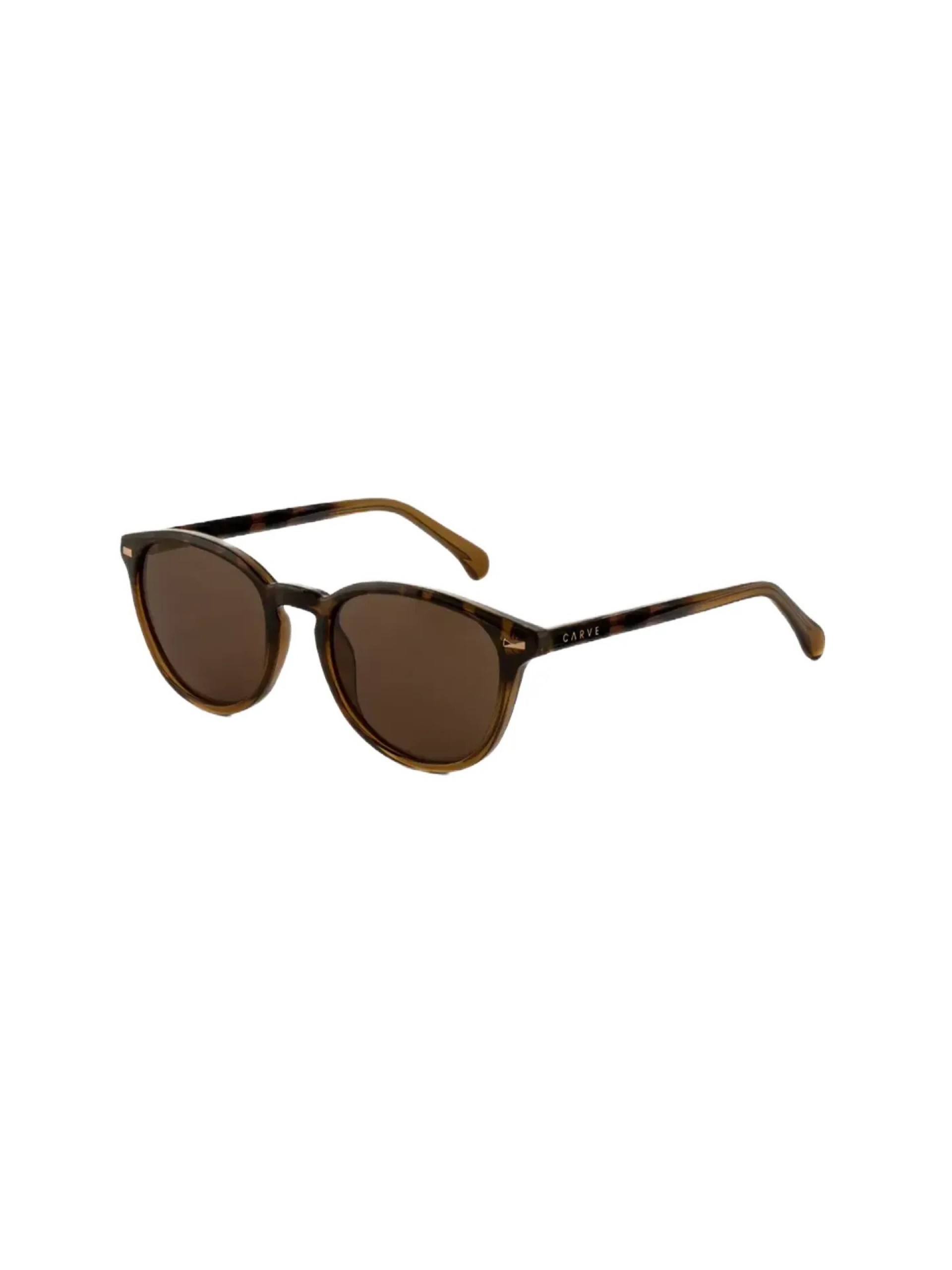 Carve Oslo Gloss Tortoise w/ Toffee Brown Sunglasses