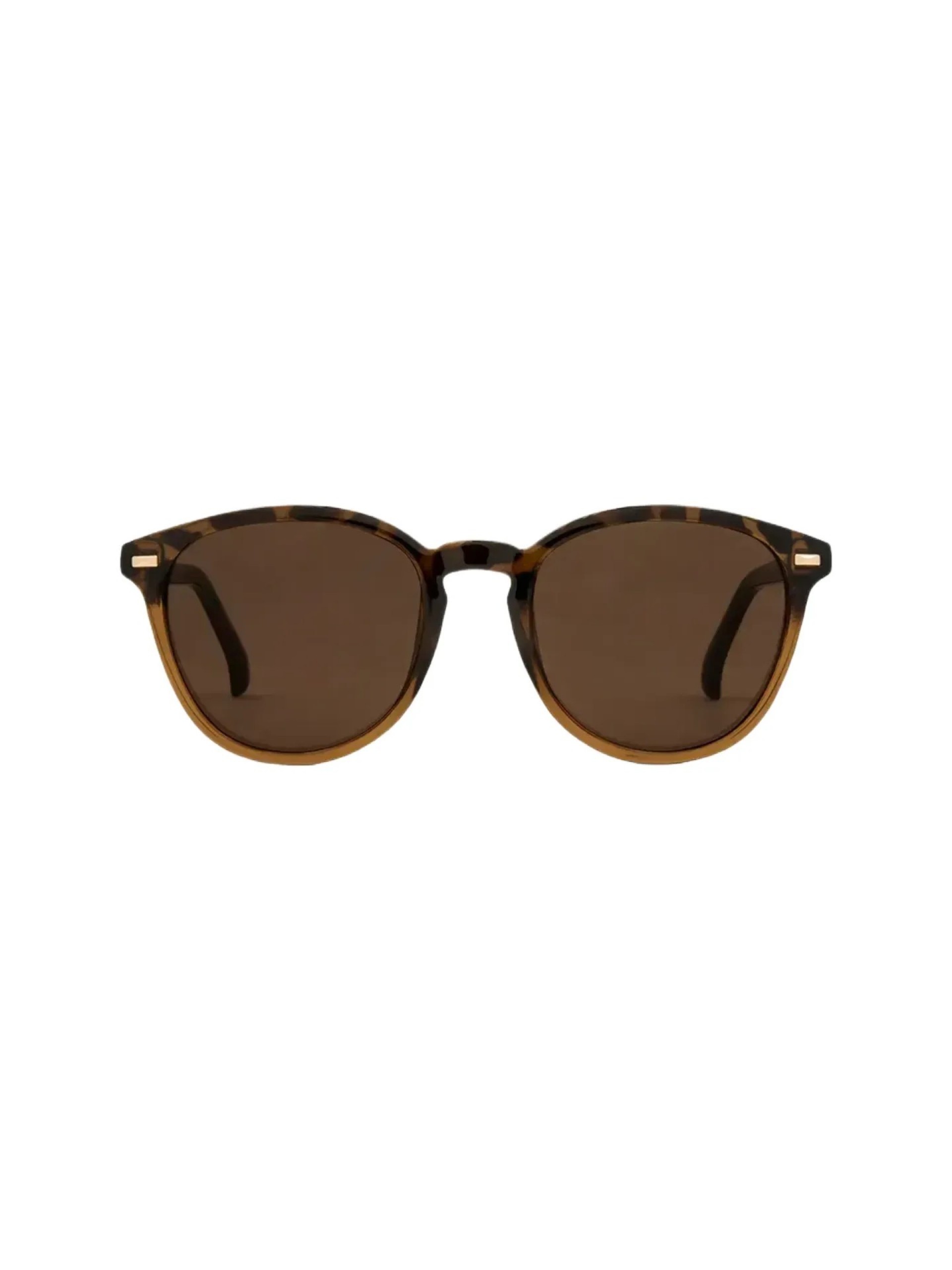 Carve Oslo Gloss Tortoise w/ Toffee Brown Sunglasses