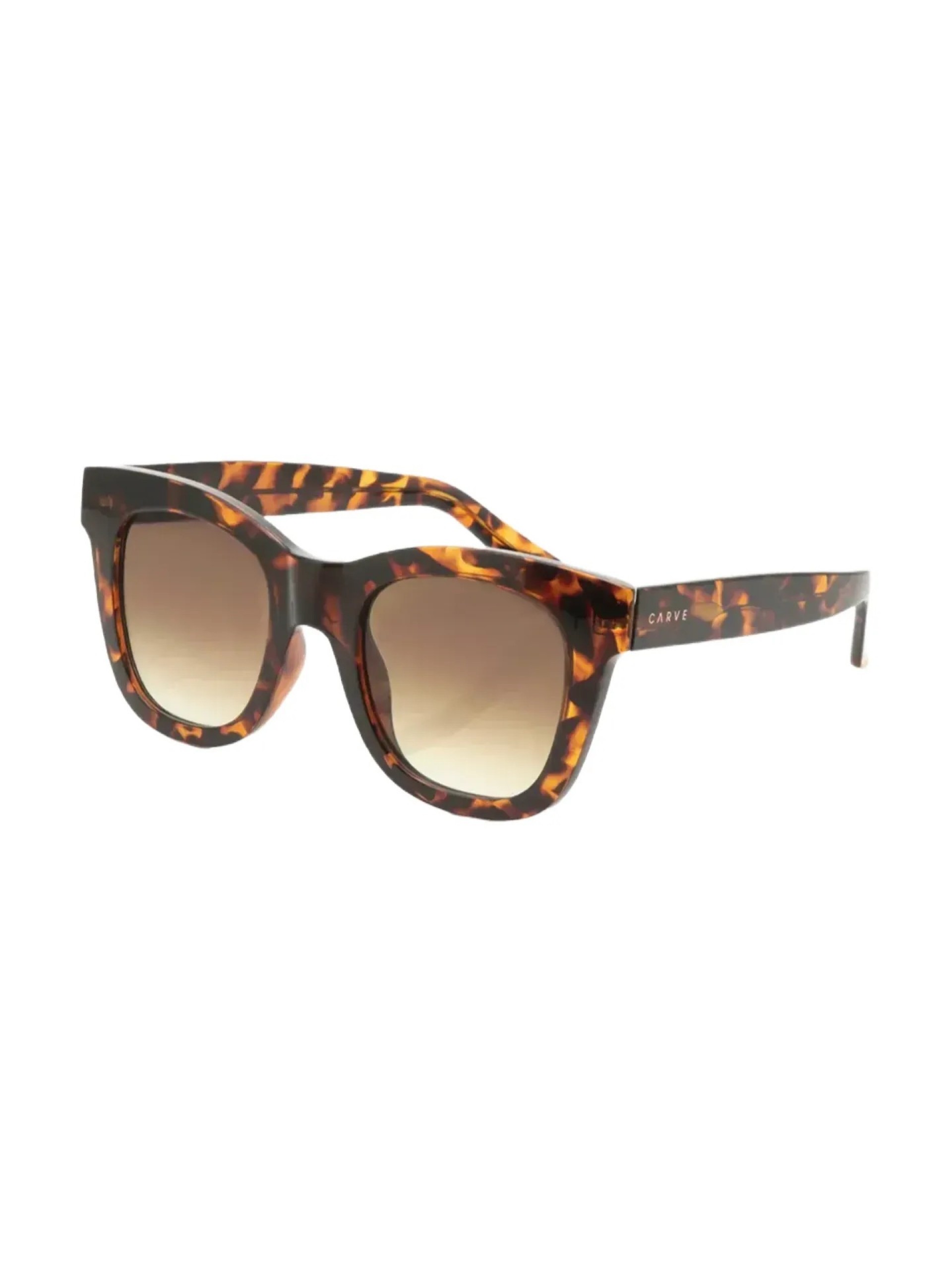Carve Elba Gloss Tortoise w/ Gradient Brown Sunglasses