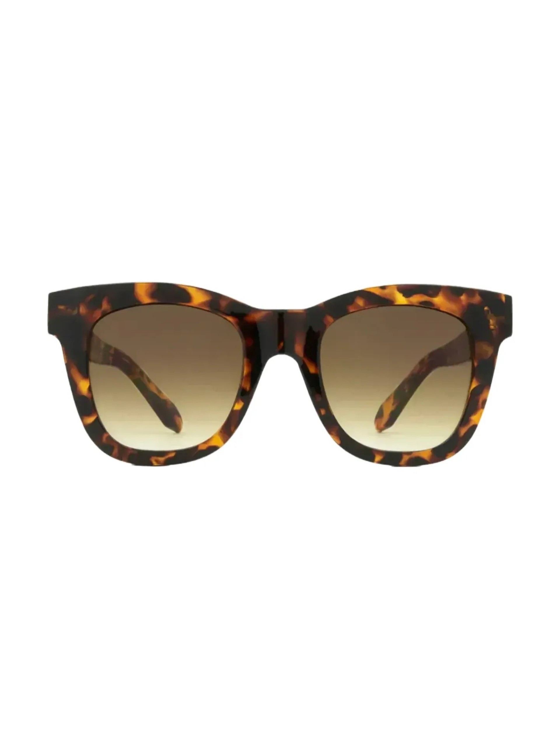 Óculos de Sol Carve Elba Gloss Tortoise w/ Gradient Brown