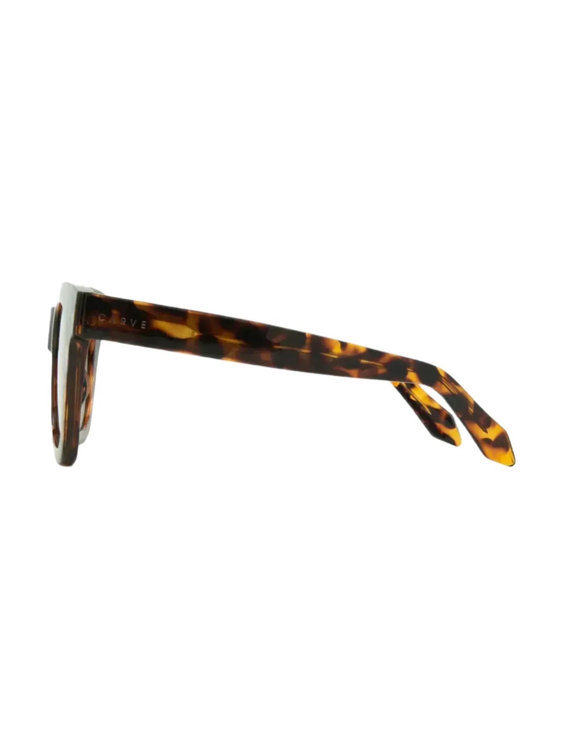 Carve Elba Gloss Tortoise w/ Gradient Brown Sunglasses