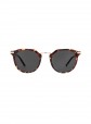 culos de Sol Carve Frankie Gloss Tortoise Gold Metal w/ Grey