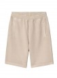 Carhartt WIP Nelson Walkshorts