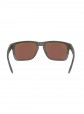 �culos de Sol Oakley Holbrook XL Woodgrain w/ Prizm Deep Water Polarized