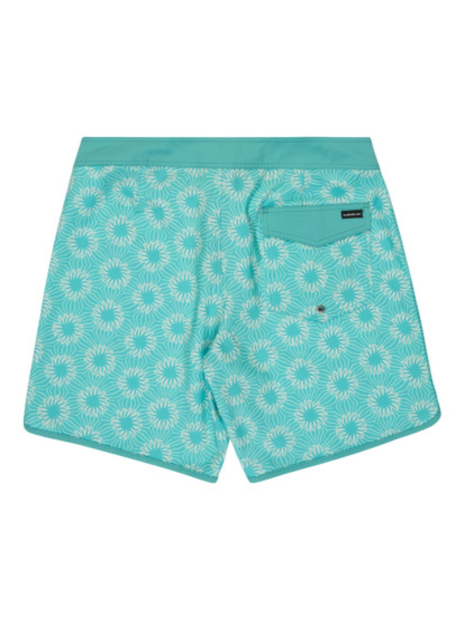 Calções de Banho Quiksilver Surfsilk Scallop 18