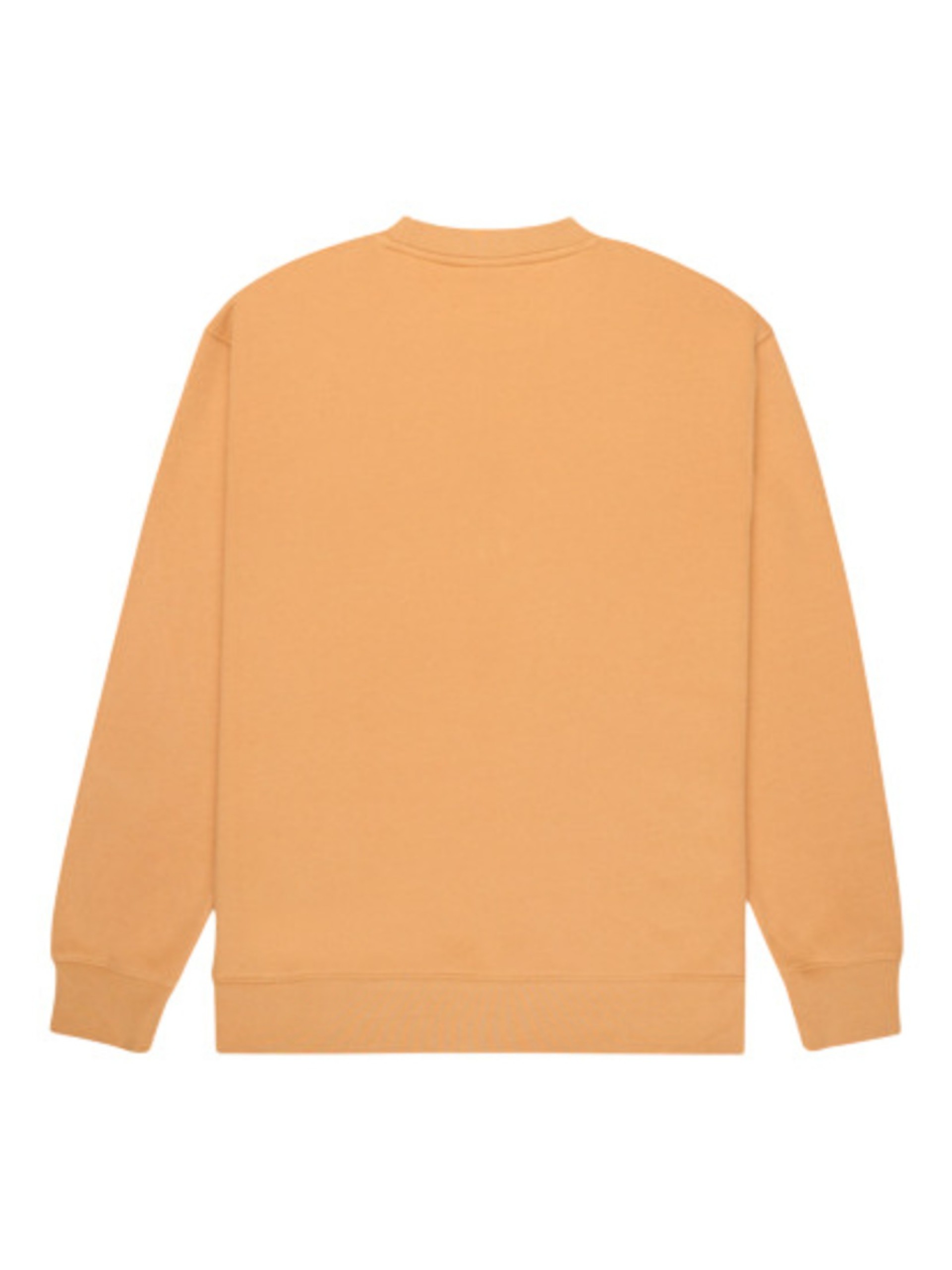 Quiksilver Salt Water Sweatshirt
