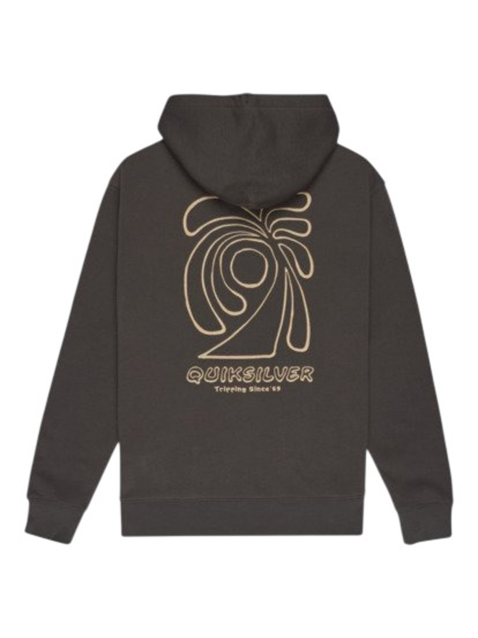 Sweatshirt Quiksilver Salt Water Graphic