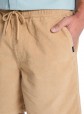 Quiksilver Taxer Cord Walkshorts
