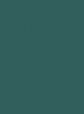 Ocean Pine
