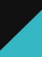 Black/Aqua Blue