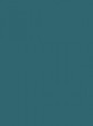 Petrol